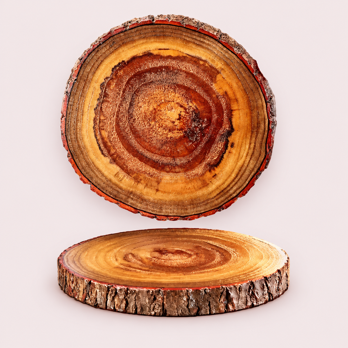 Natural Wood Slice Coasters with Bark Edge – Rustic Drink Coasters