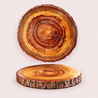 Natural Wood Slice Coasters with Bark Edge – Rustic Drink Coasters