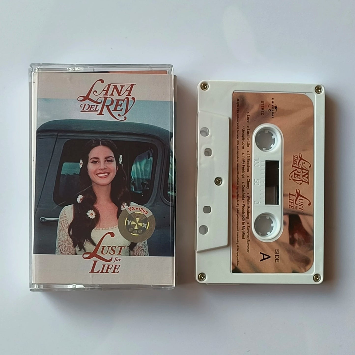 S55a8c699cfd64b52809d2e156fcb3d11z