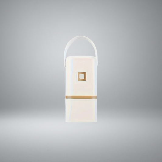 Mini Portable Foldable Electric Dryer with Intelligent Timer | Compact Fast Drying Cabinet for Travel & Home